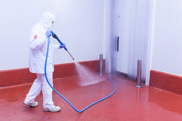 Little Elm, TX Pressure Washing Pros